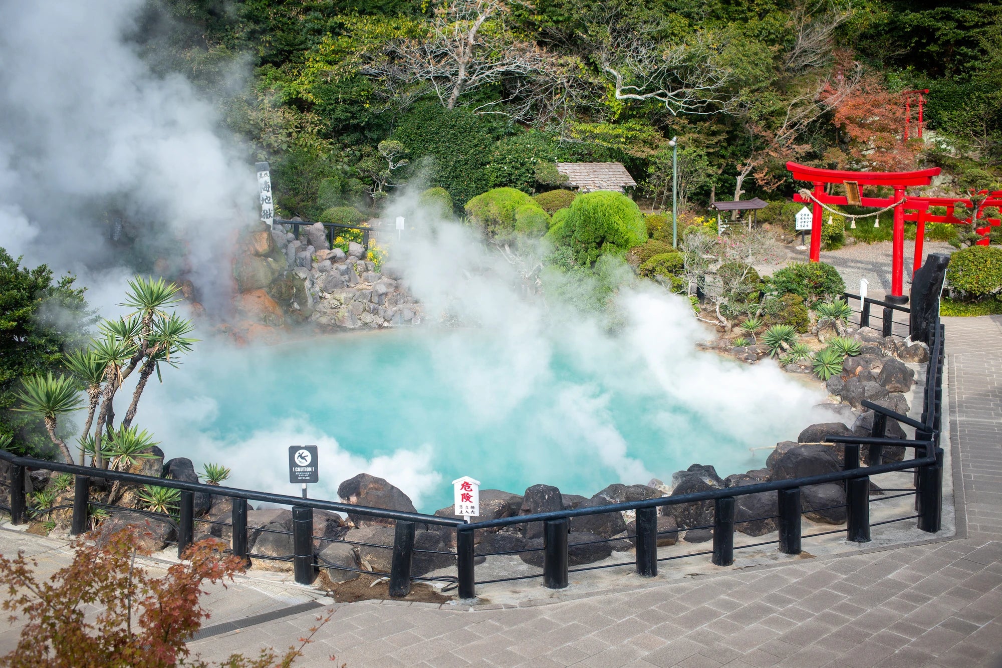 Oita – UCHIYA Essential Oils