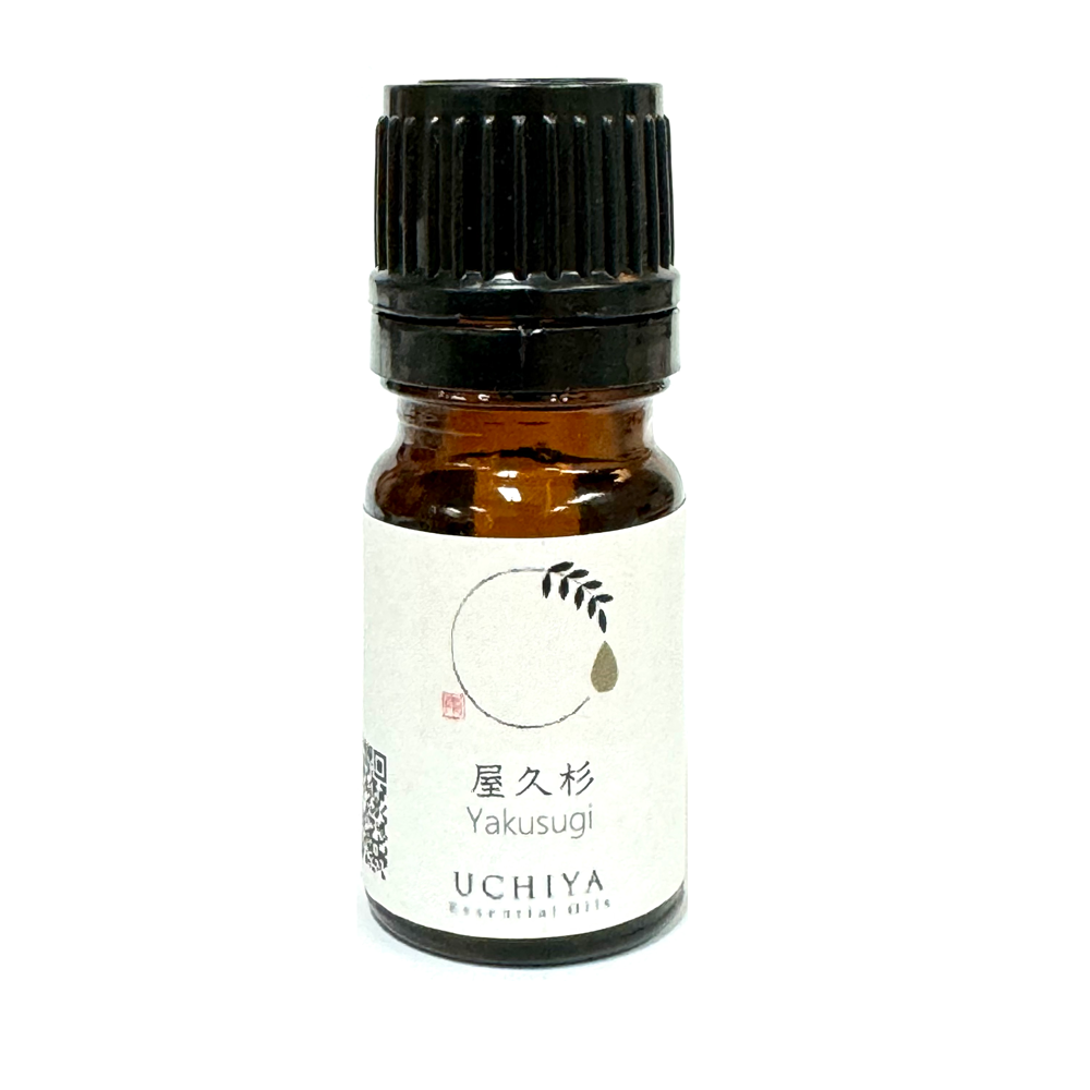 JAPANESE YAKUSUGI ESSENTIAL OIL